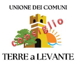 convocazione consiglio dell'unione